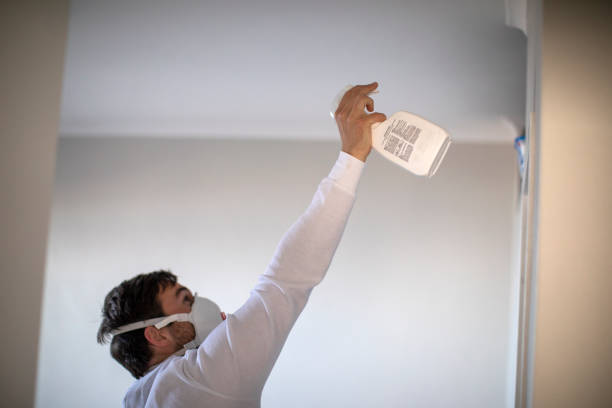 Best Black Mold Removal  in West Brattleboro, VT