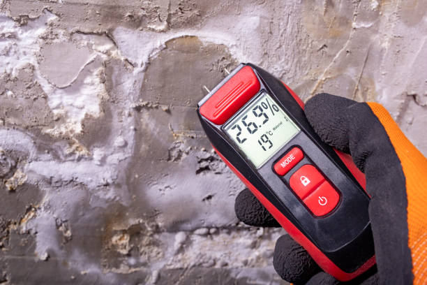 Best Crawl Space Mold Removal  in West Brattleboro, VT