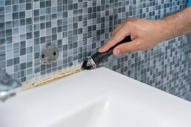 Best Same-Day Mold Removal  in West Brattleboro, VT